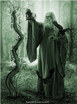 376809_10150402484621597_793816596_8326631_800658342_n