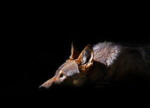 1354152602_db0d3a1b40_z