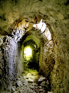 483964247_f85dd94f33_m