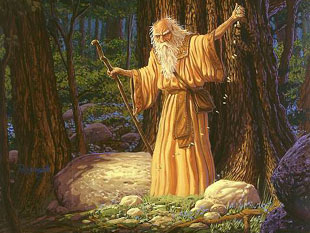 c912a2b0-1bc3-4ca7-8e18-cec269e76962