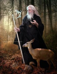 37e00d52ebb9fb85801674035e155991