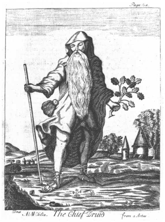 572px-TheChiefDruid