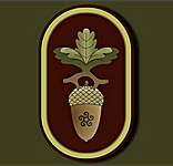 bolbota_site_atdl_bord fundo.png